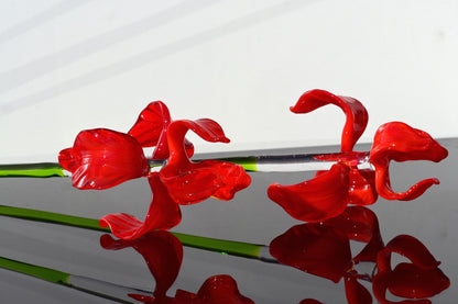 "Rivera" Extra-Long Red Iris