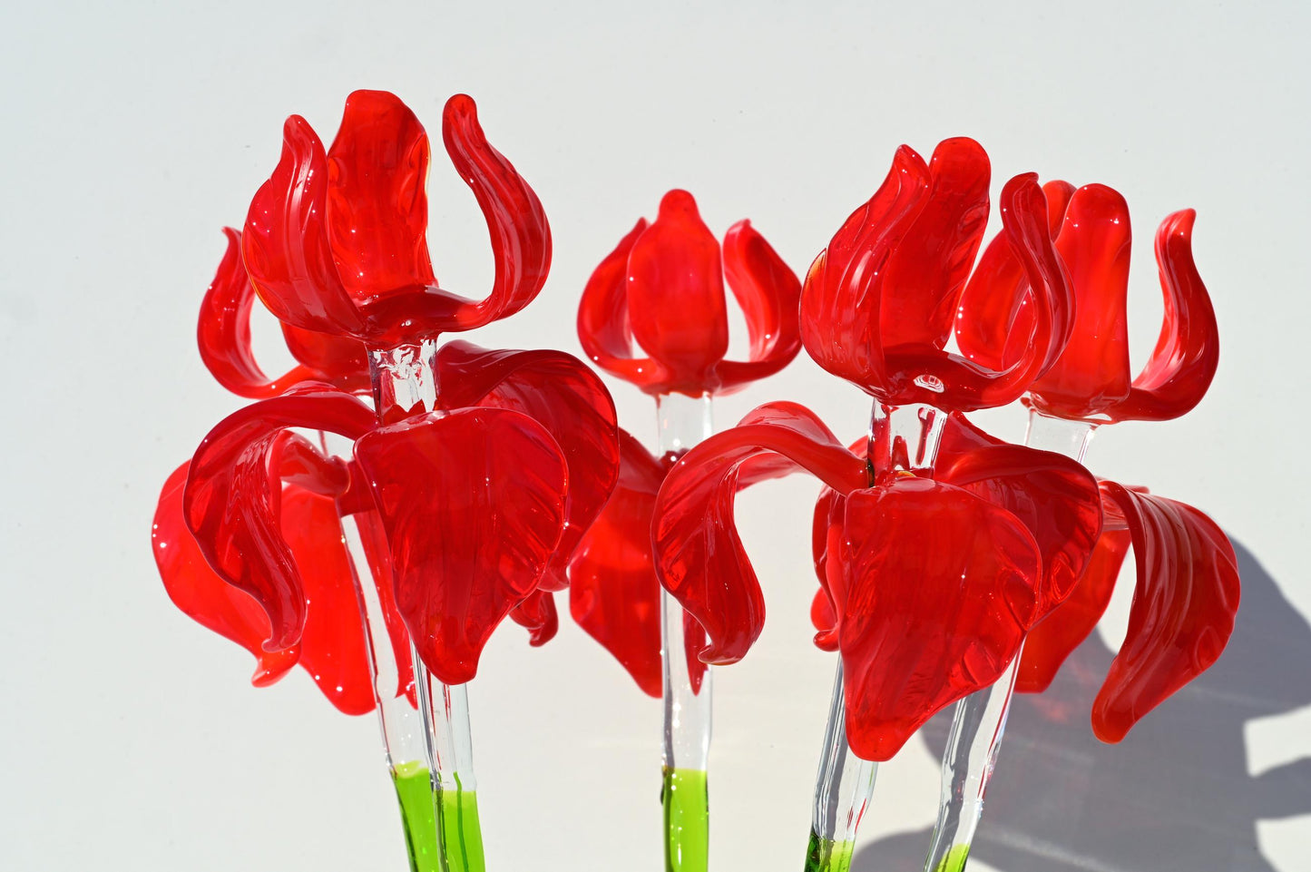 "Rivera" Extra-Long Red Iris
