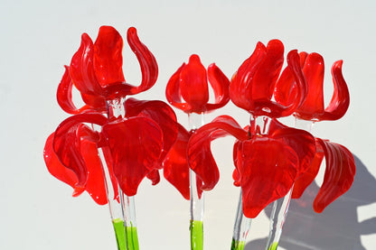 "Rivera" Extra-Long Red Iris