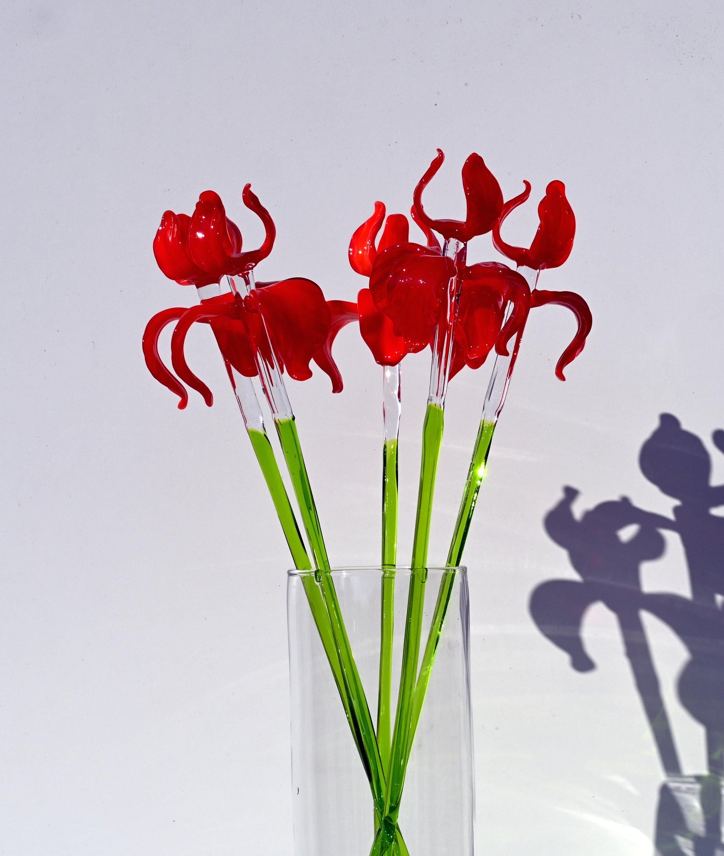 "Rivera" Extra-Long Red Iris