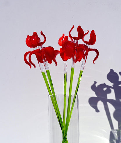 "Rivera" Extra-Long Red Iris
