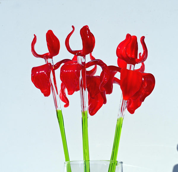 "Rivera" Extra-Long Red Iris