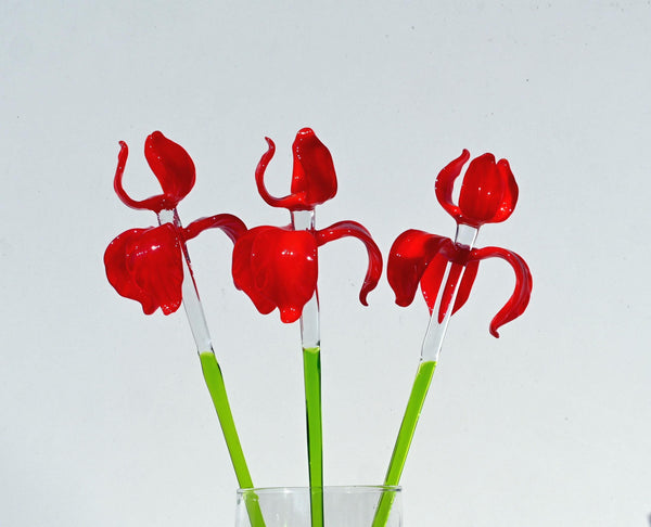 "Rivera" Extra-Long Red Iris