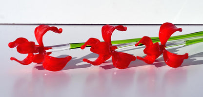 "Rivera" Extra-Long Red Iris