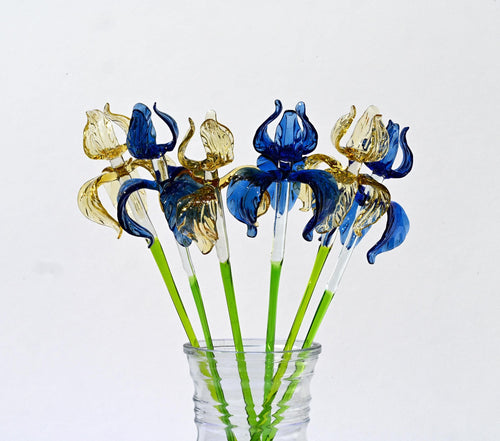 "Six Petals" Iris Bouquet of 6