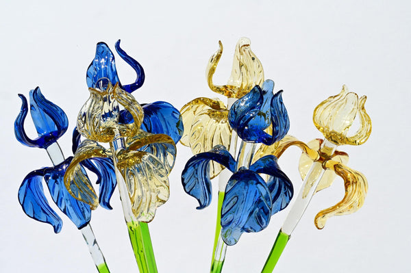 "Six Petals" Iris Bouquet of 6