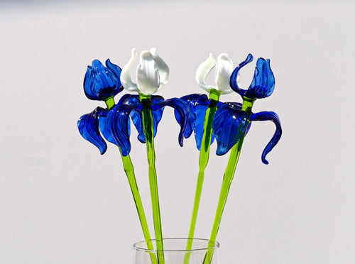 "Moonlight" Blue & White Iris Bouquet